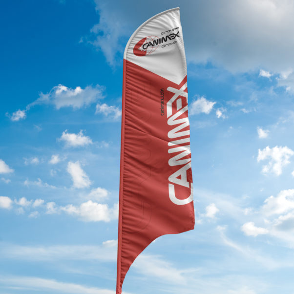 nabi-expertise-impression-canimex