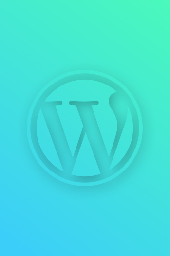 nabi-wordpress-5-cover